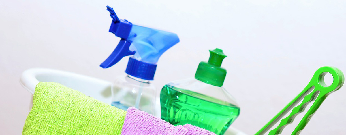 Cleaning Bag
